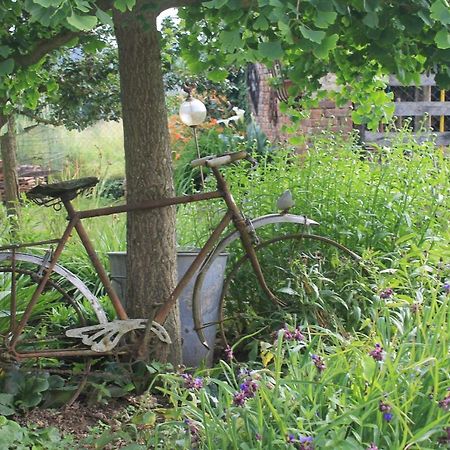 Sailly-Laurette Ochiga Bed & Breakfast エクステリア 写真